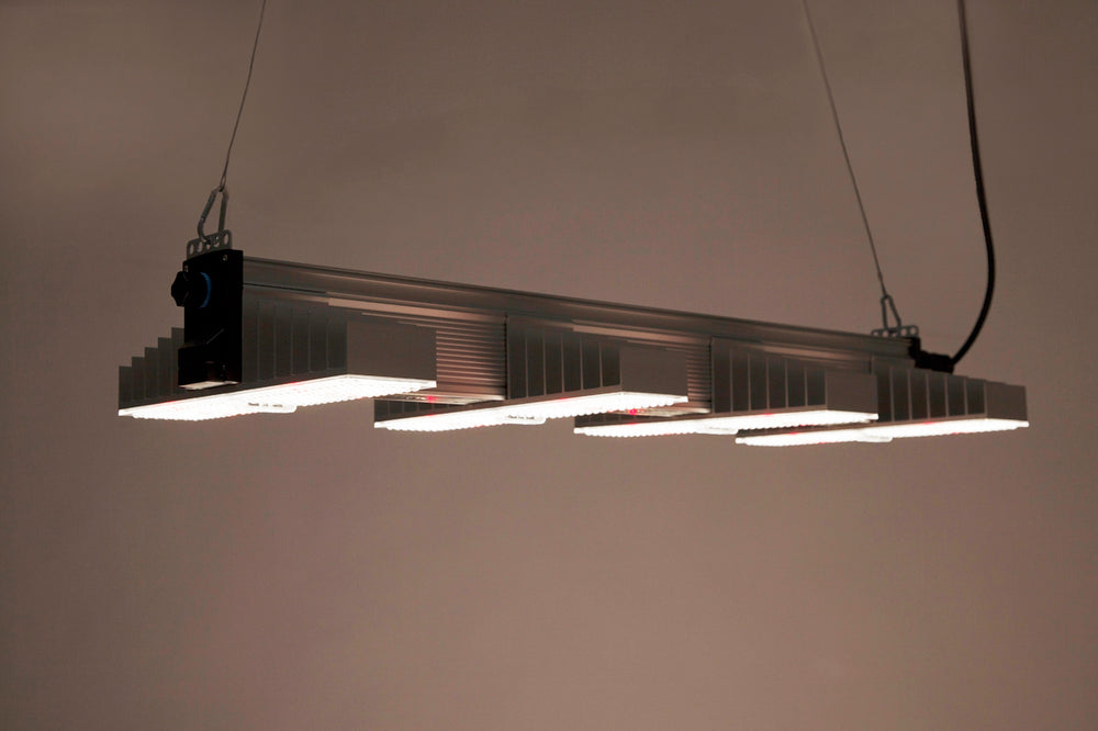
                  
                    SANlight EVO 4-100 1.5
                  
                