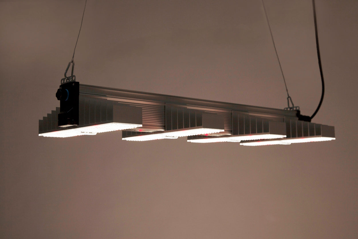 
                  
                    SANlight EVO 4-100 1.5
                  
                