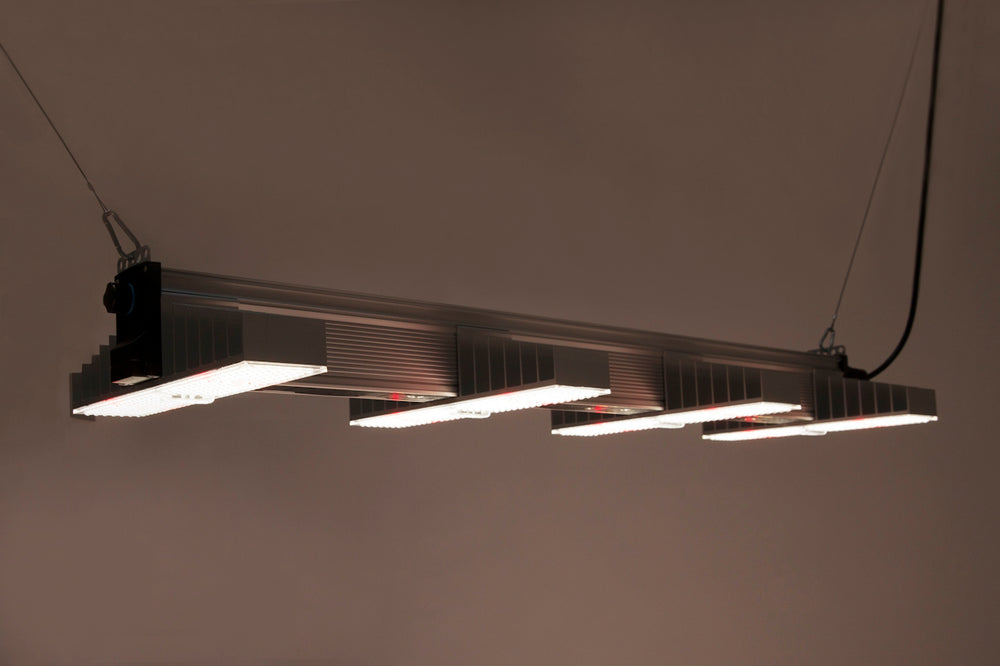 
                  
                    SANlight EVO 4-120 1.5
                  
                