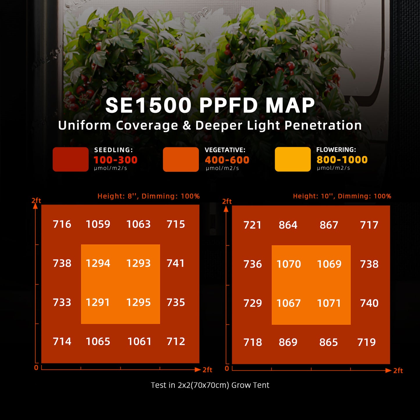 
                  
                    Spider Farmer® 70x70x160 cm Komplettes Grow-Zelt-Set丨SE1500 EVO 150W LED-Pflanzenlampe丨4″ Belüftungssystem mit Temperatur- und Feuchtigkeitsregler
                  
                