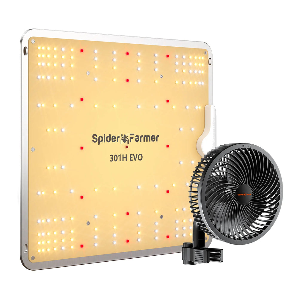 SF1000 Bundle